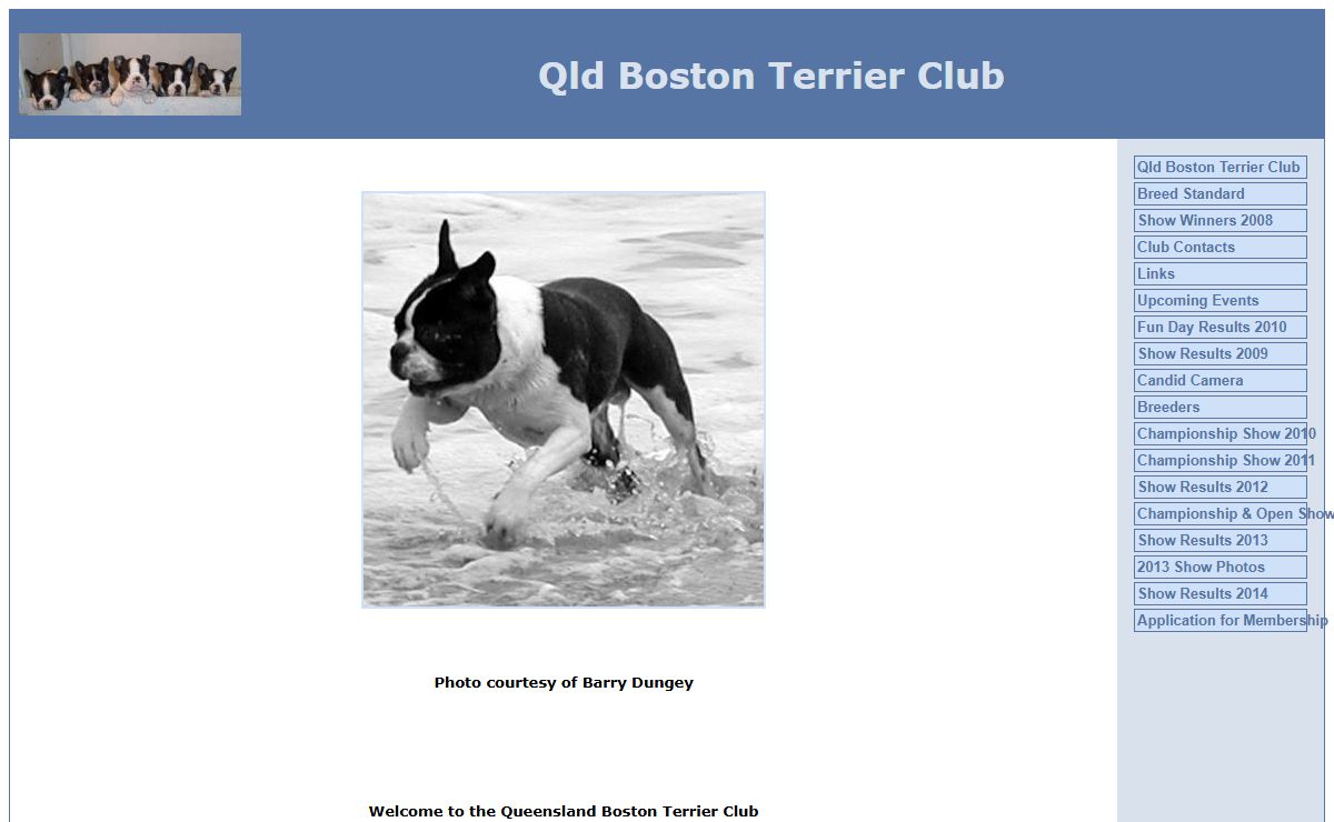 Qld Boston Terrier Club