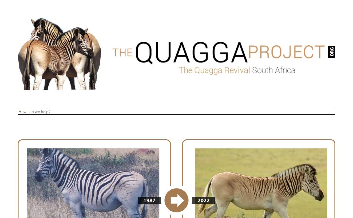 The Quagga Project : official website