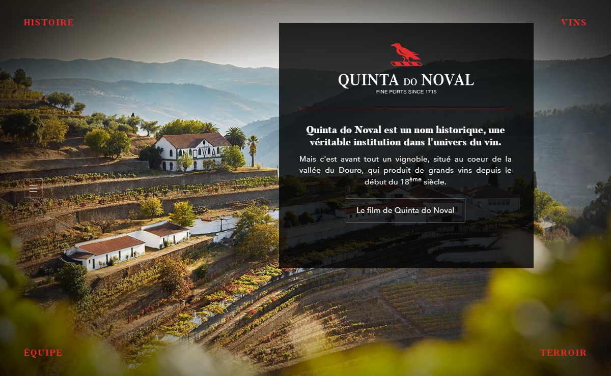 Quinta do Noval - vallée du Douro