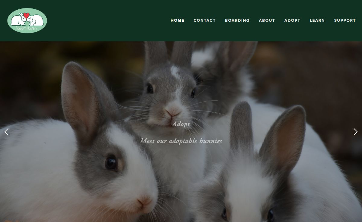 Rabbit Haven