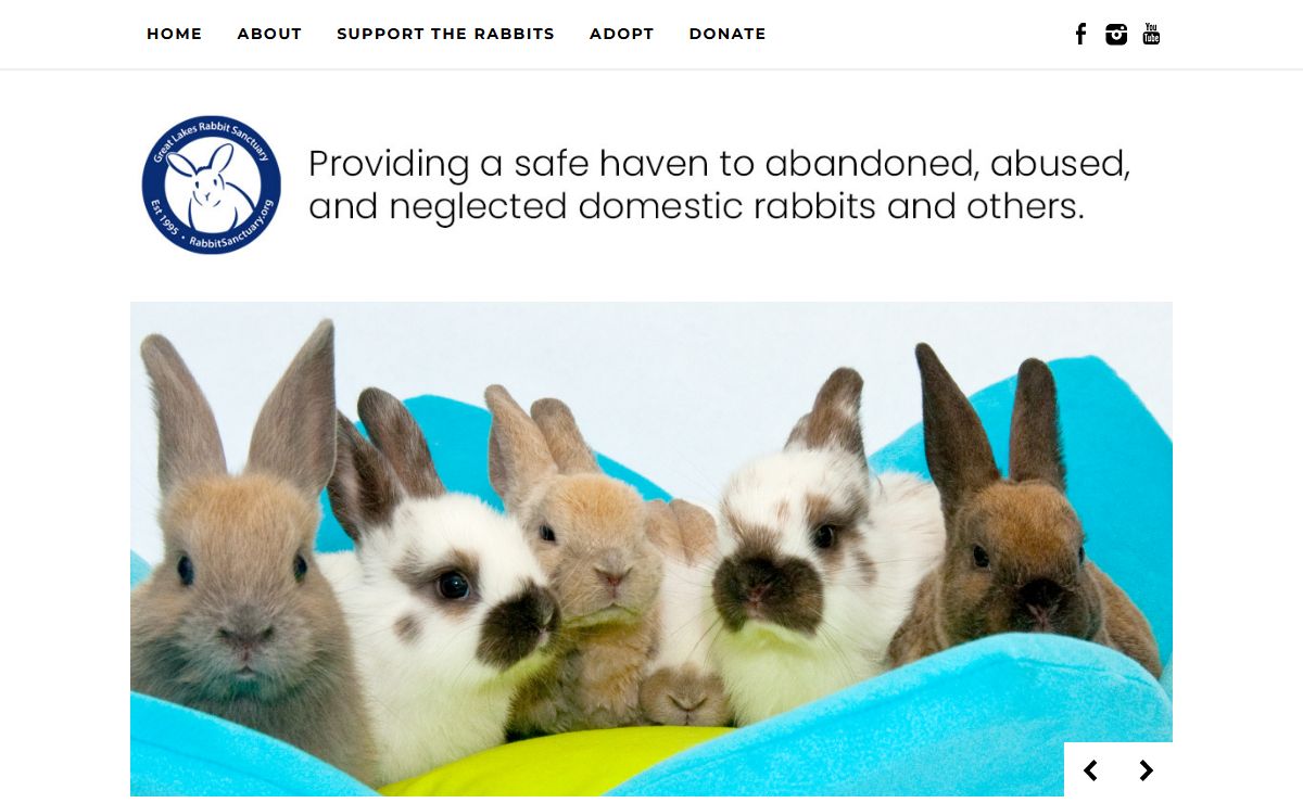 Great Lakes Rabbit Sanctuary - Saving domestic rabbits and others