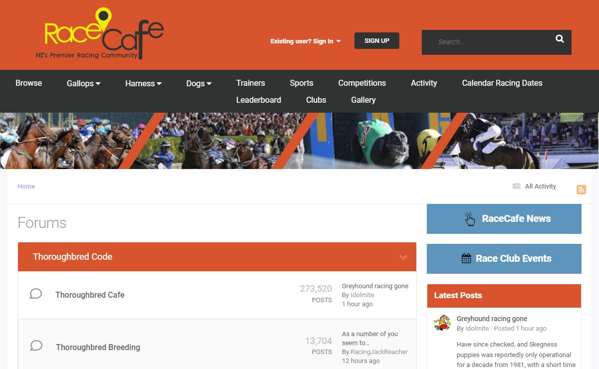 Forums - RaceCafe NZ's Premier Racing Community
