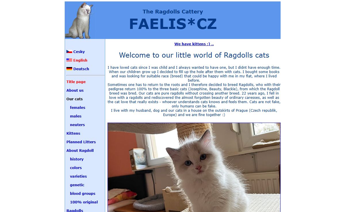 Ragdoll Lilac, Chocolate - Czech Ragdolls Cattery Faelis