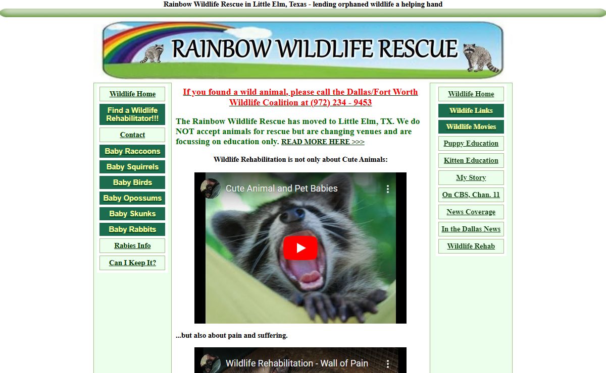 Rainbow Wildlife Rescue and Wildlife Rehabilitation in Texas