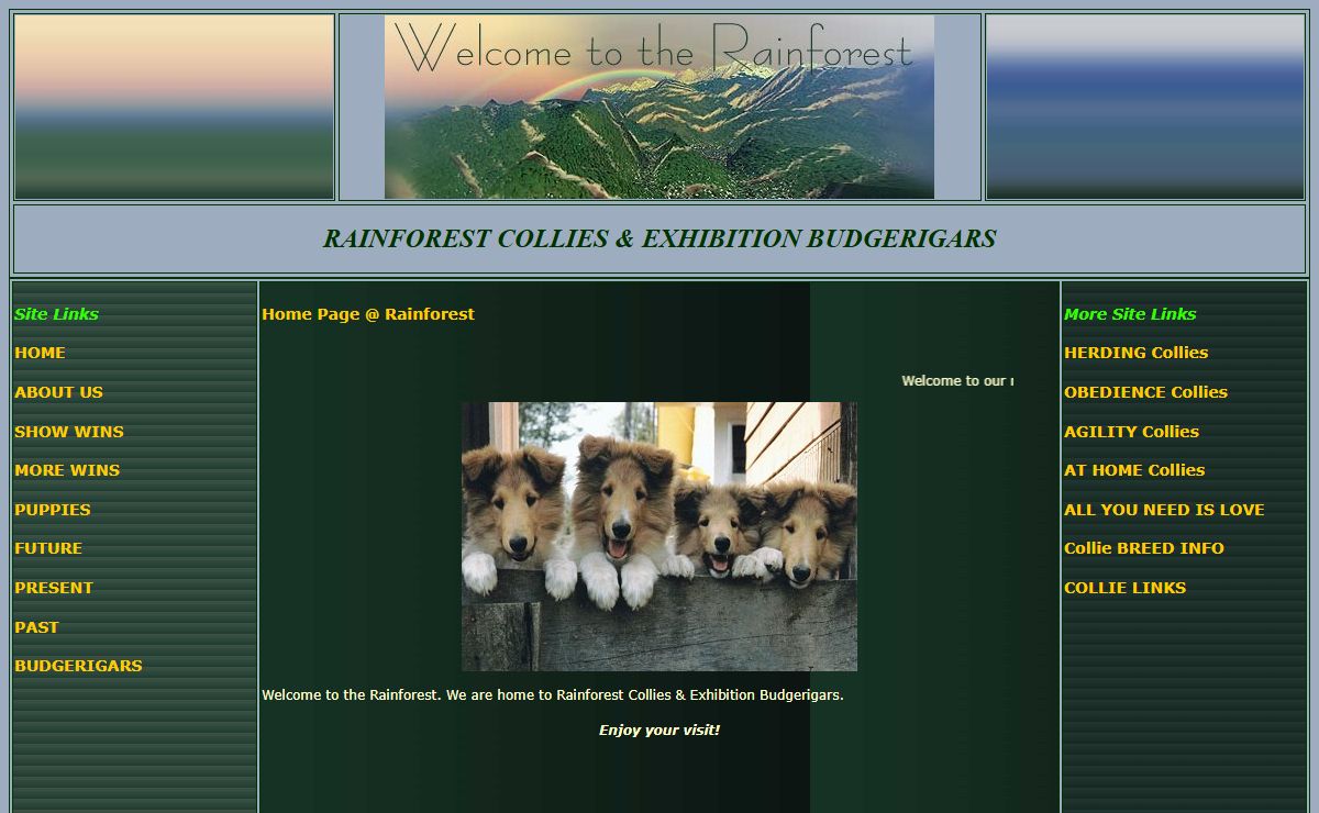 Rainforest Collies and Exhibition Budgerigars Home Page