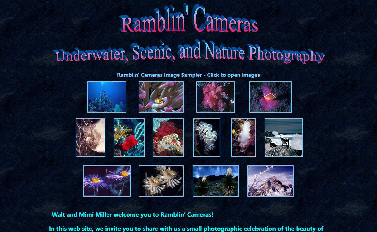 Ramblin' Cameras - Underwater, Scenic and Nature Photography