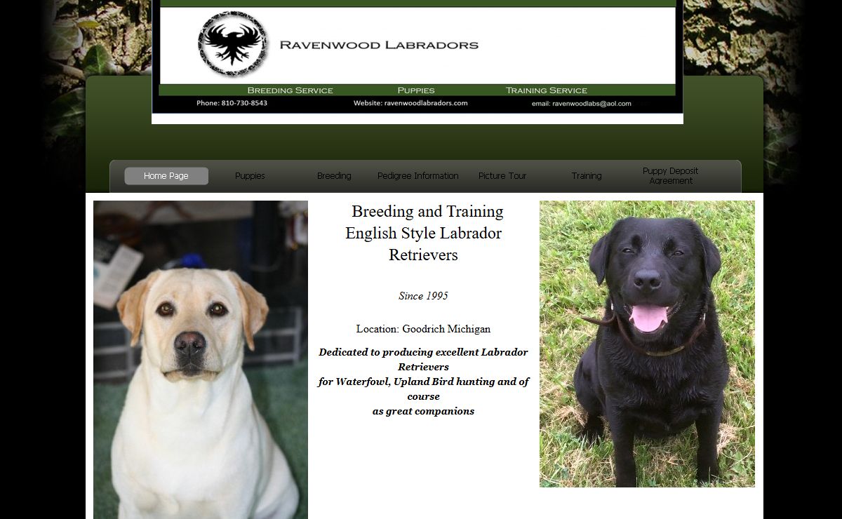 Ravenwoodlabs
