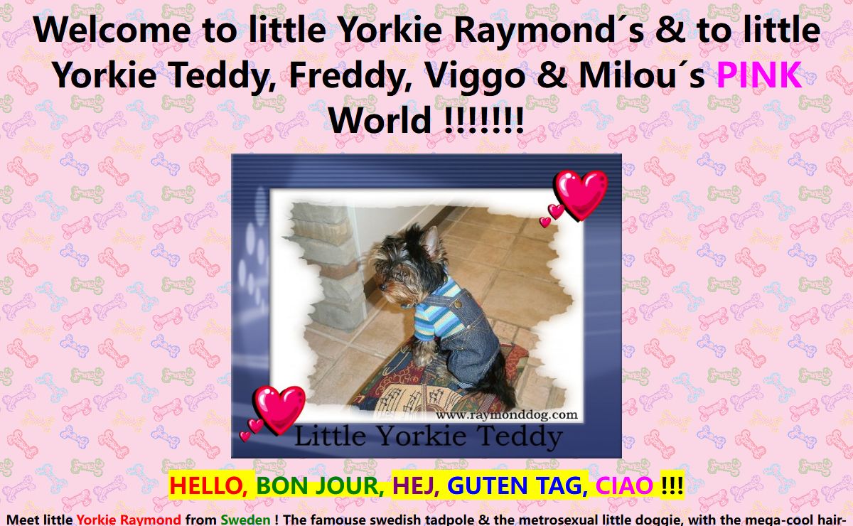 www.raymonddog.com