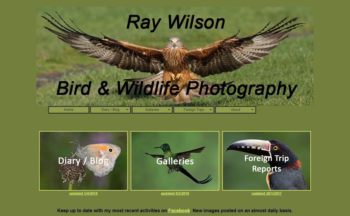 Ray Wilson's Bird & Wildlife Photography - Home Page & Recent Updates