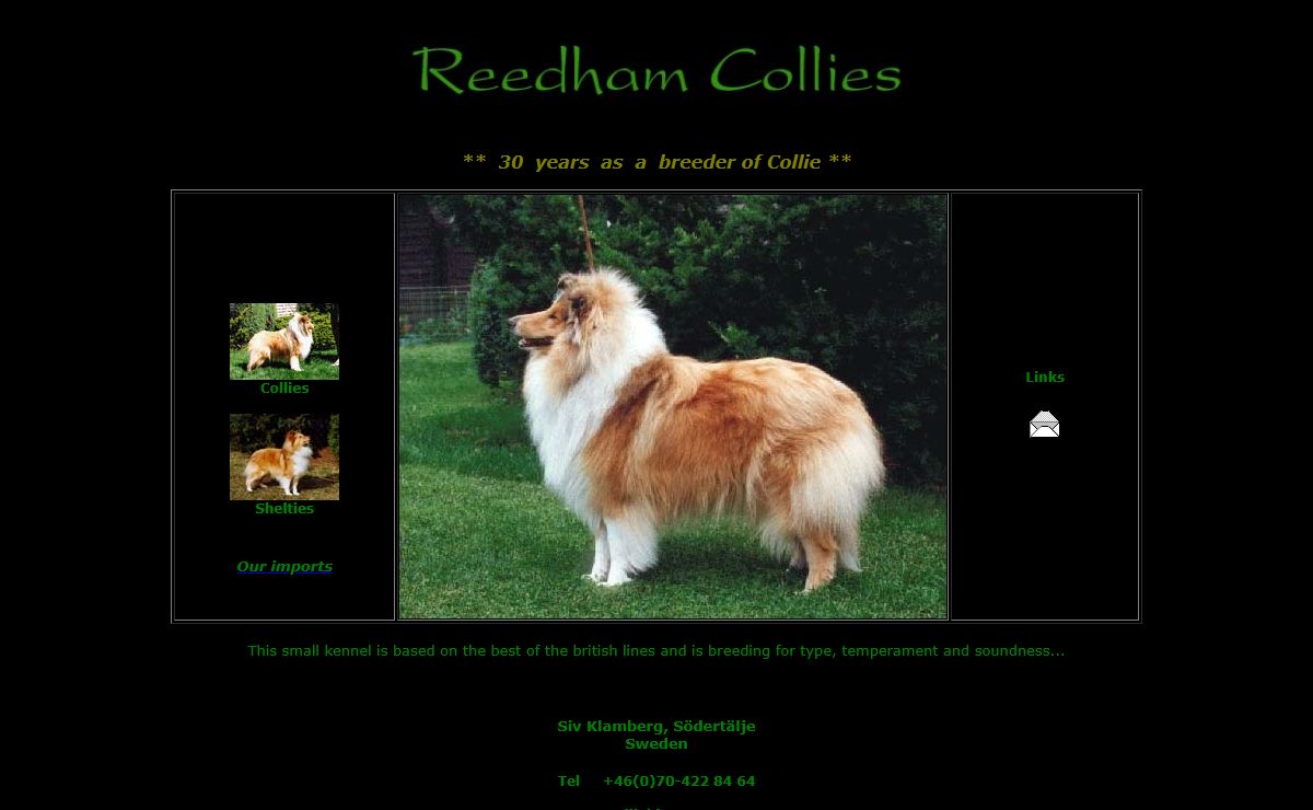 Reedham Collies and Shetland Sheepdogs