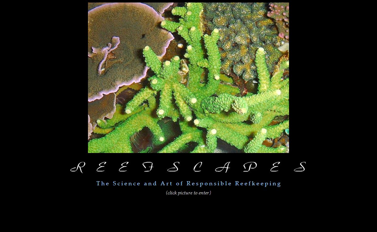 Reefscapes