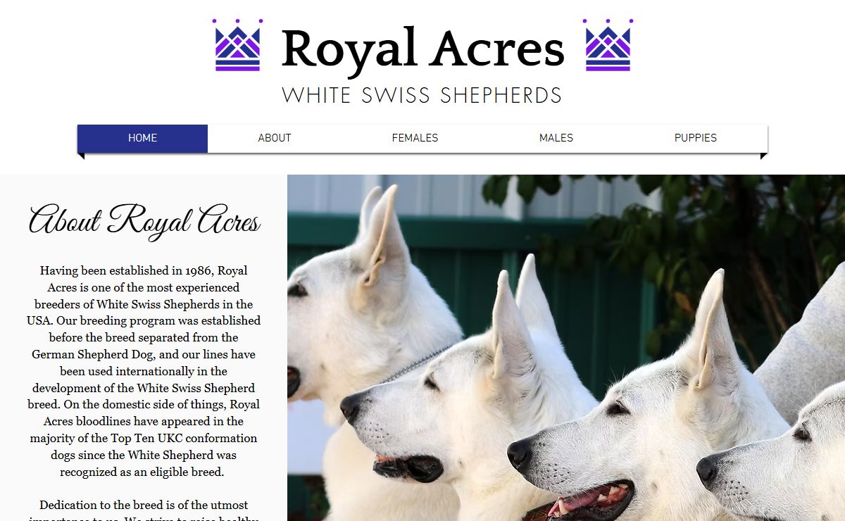 HOME | Royal White (Swiss) Shepherds