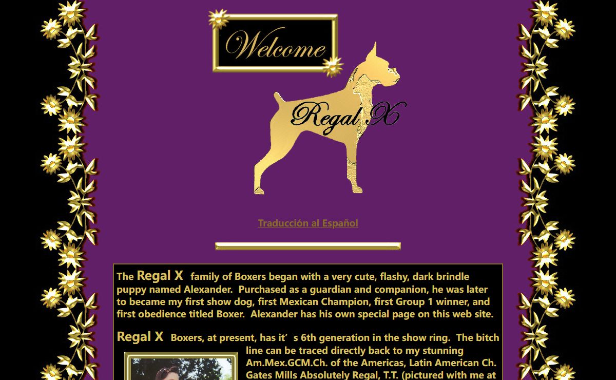 Regal X Boxers
