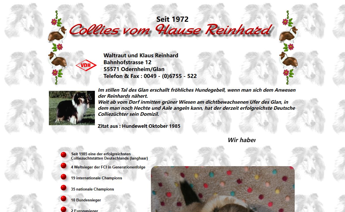 Collies vom Hause Reinhard - VDH Liebhaberzucht für Collies - Collie - Collie-Züchter VDH