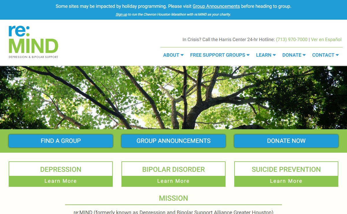 re:MIND | Help with Depression, Support for Bipolar Disorder | reMIND, DBSA Greater Houston