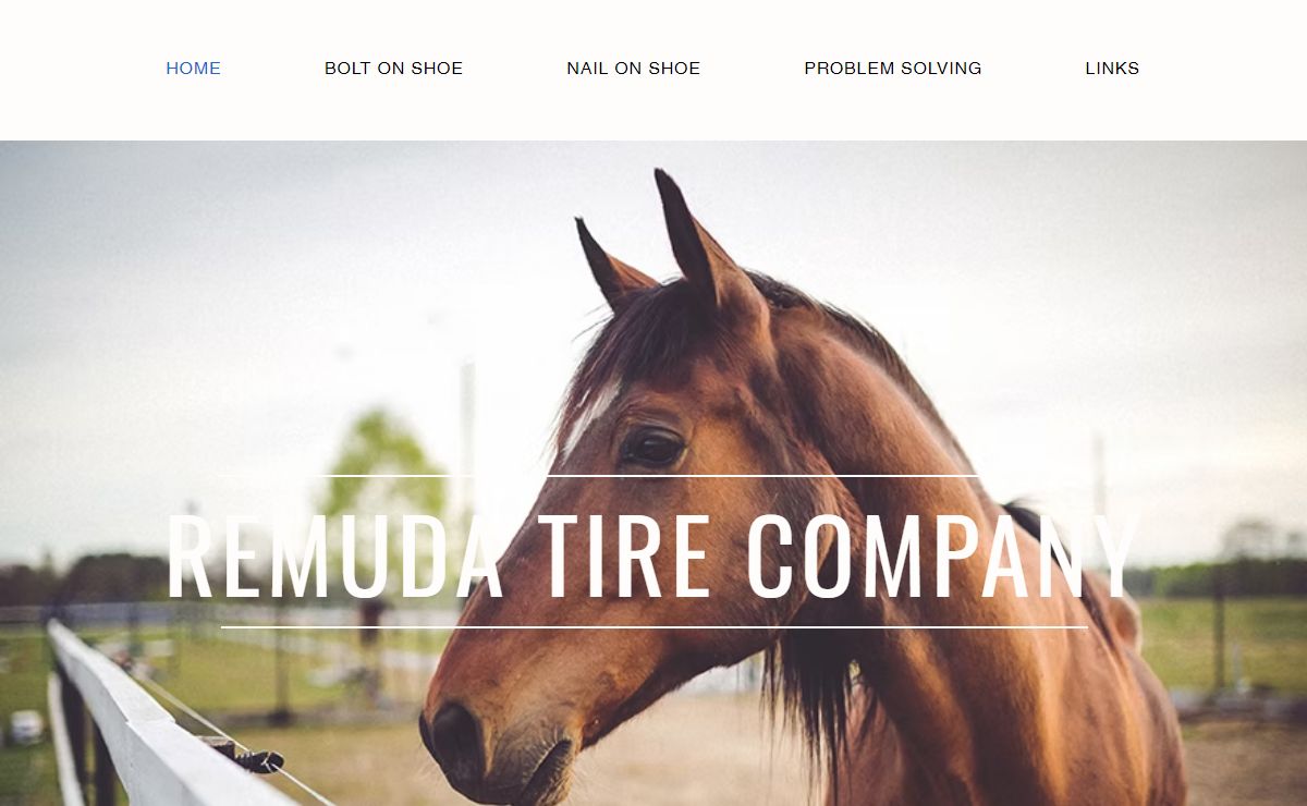HOME | Remuda Tire Company