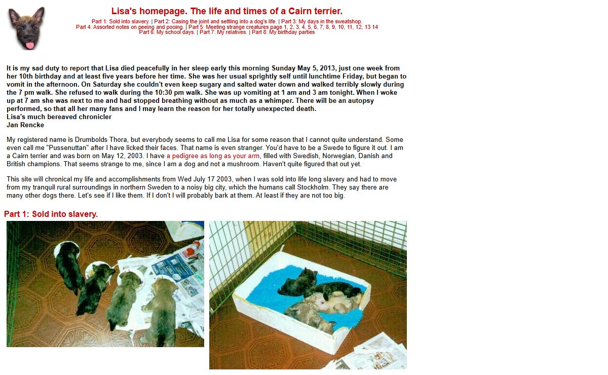 Lisa's Home Page- the life and times of a Cairn Terrier