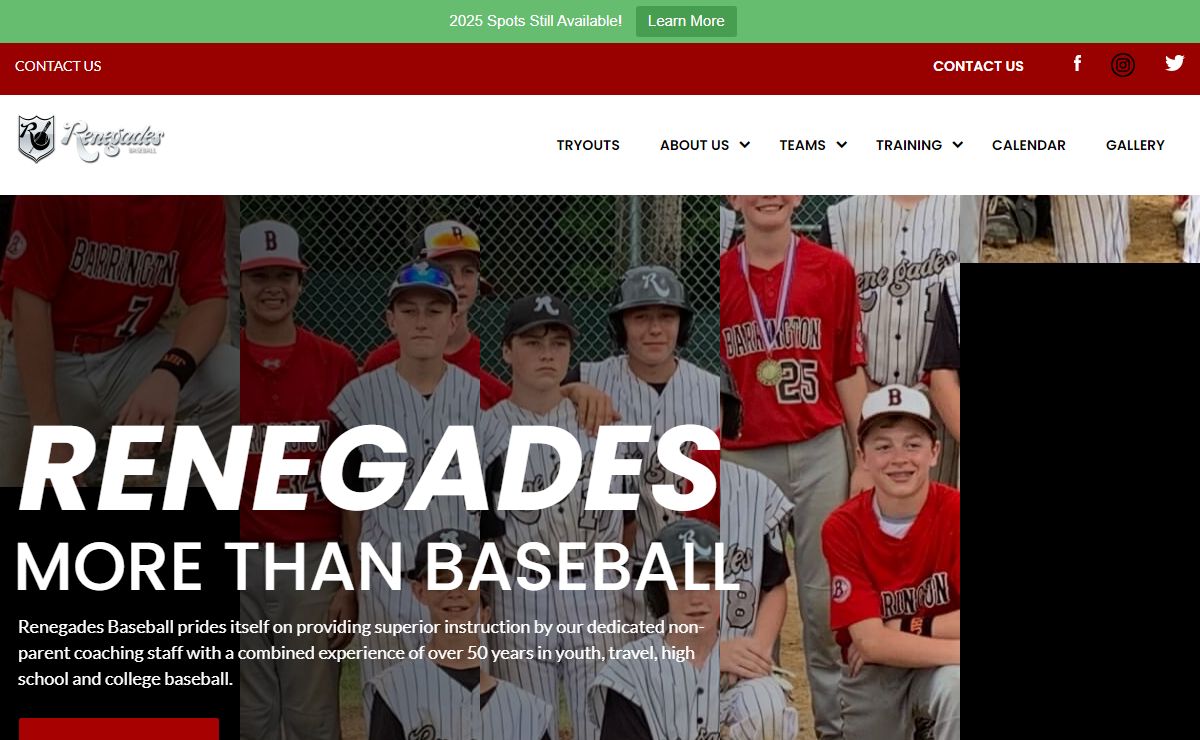 Home - Renegades Baseball