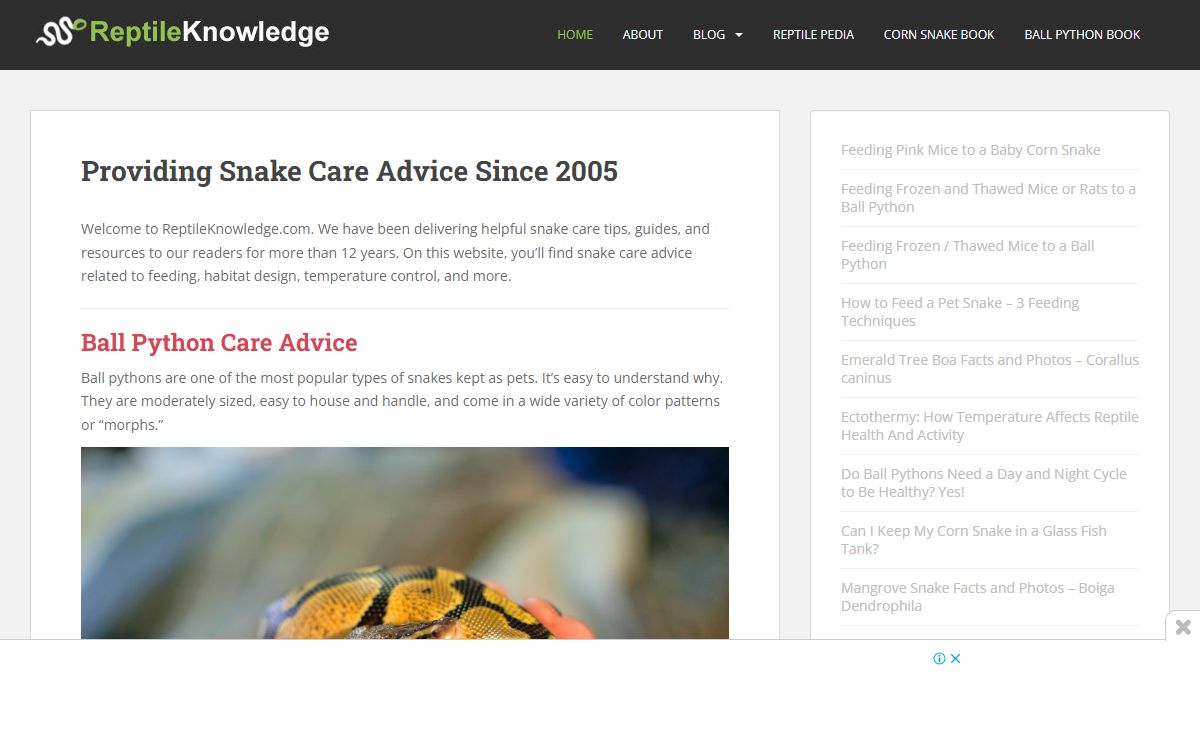 Reptile Knowledge - Expert Snake Care Advice Since 2007