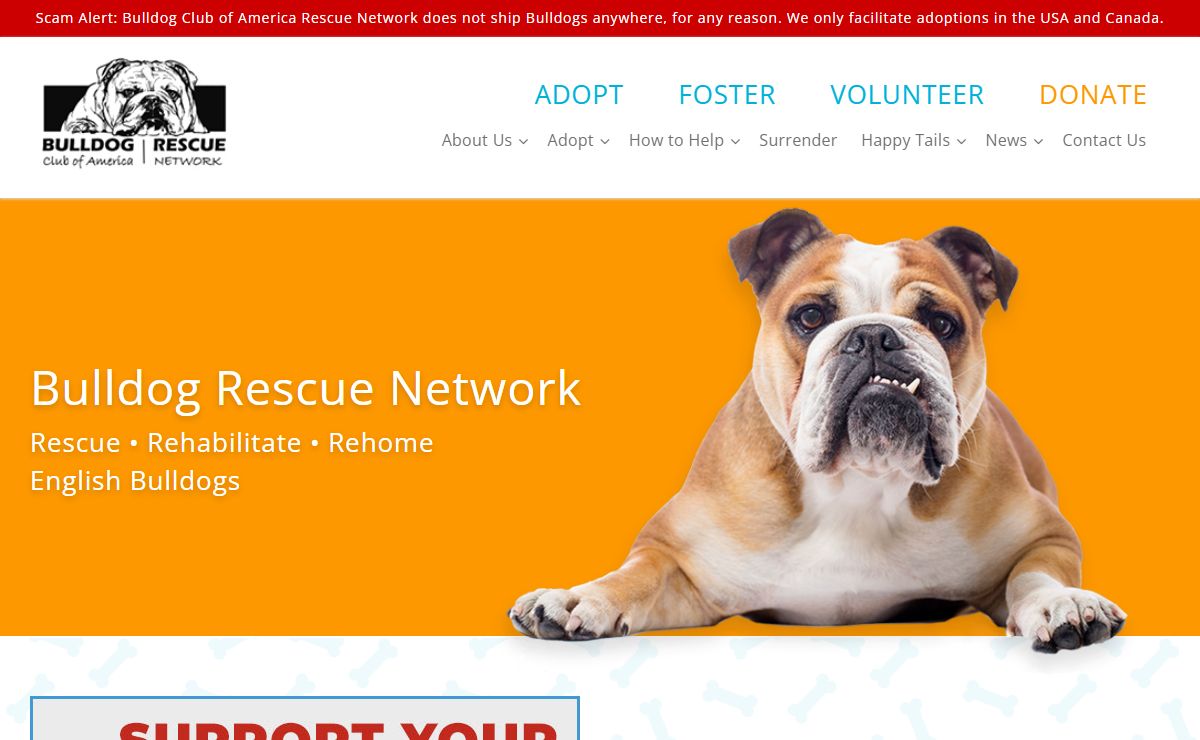 Bulldog Rescue Network