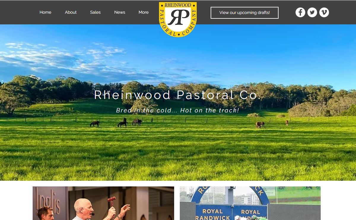 Rheinwood Pastoral Co | Broodmare Agistment & Racehorse Spelling Farm | 170 Wombeyan Caves Rd Woodlands NSW 2575
