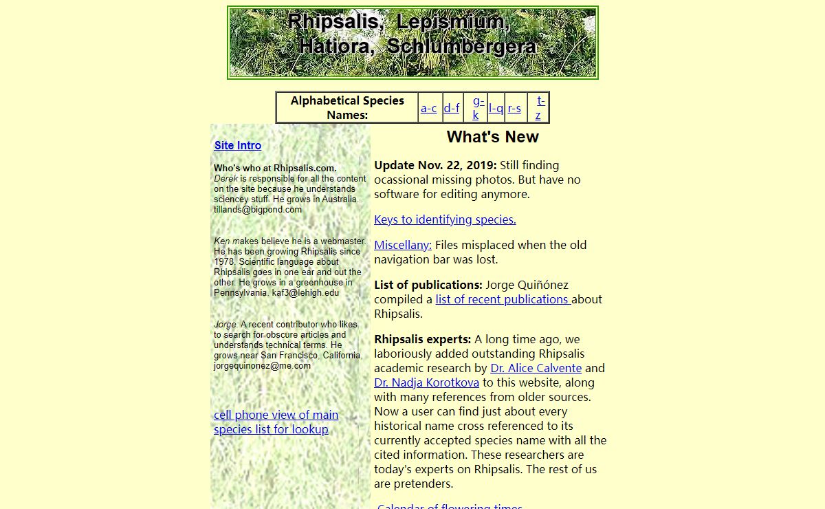 Rhipsalis, Lepismium, Hatiora, Pfeiffera, Schlumbergera Home page