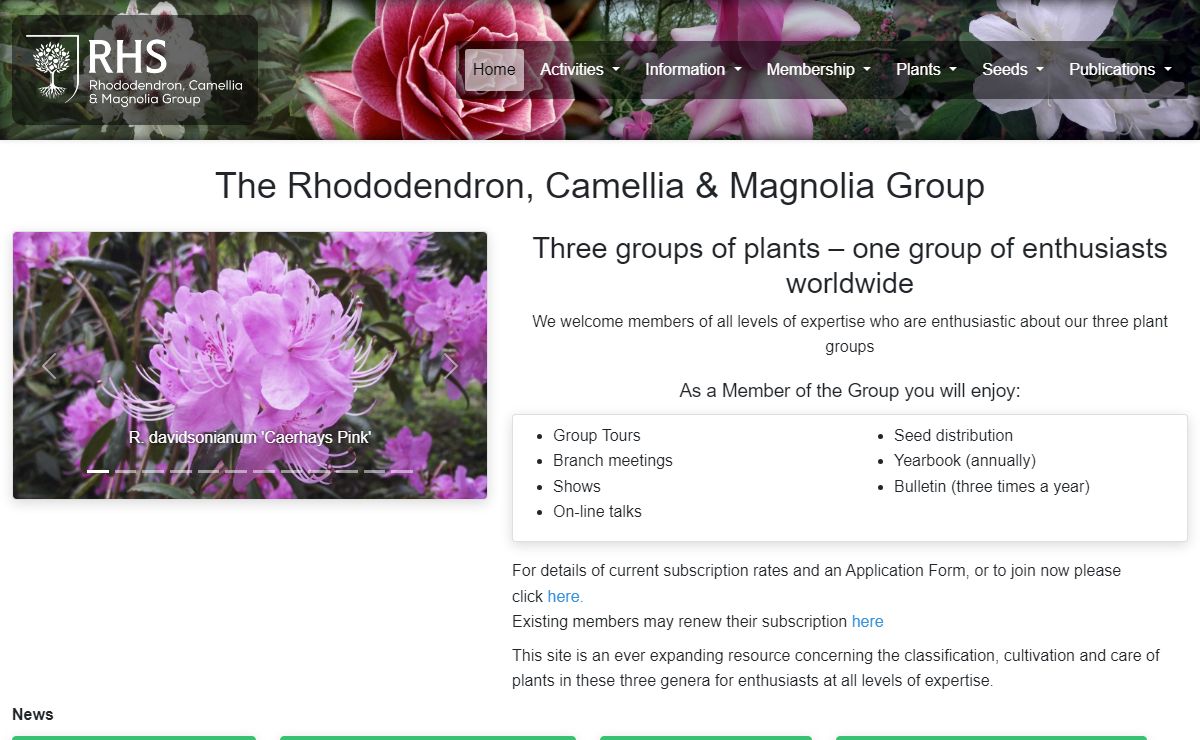 The Rhododendron, Camellia & Magnolia Group. Three groups of plants – one group of enthusiasts worldwide