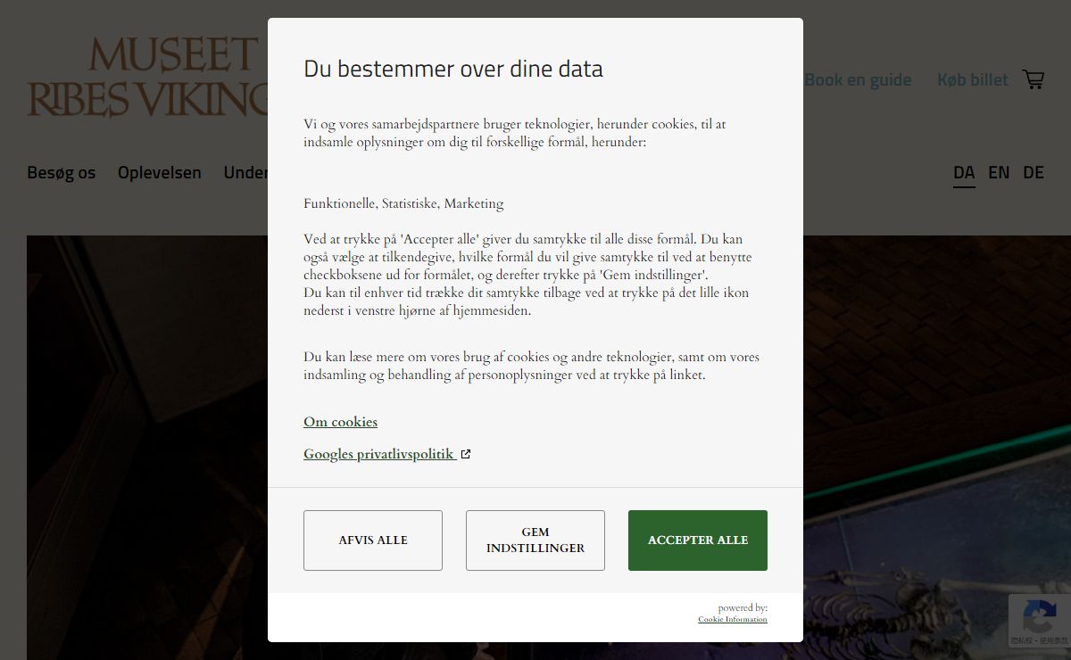 Velkommen Ribes Vikinger
