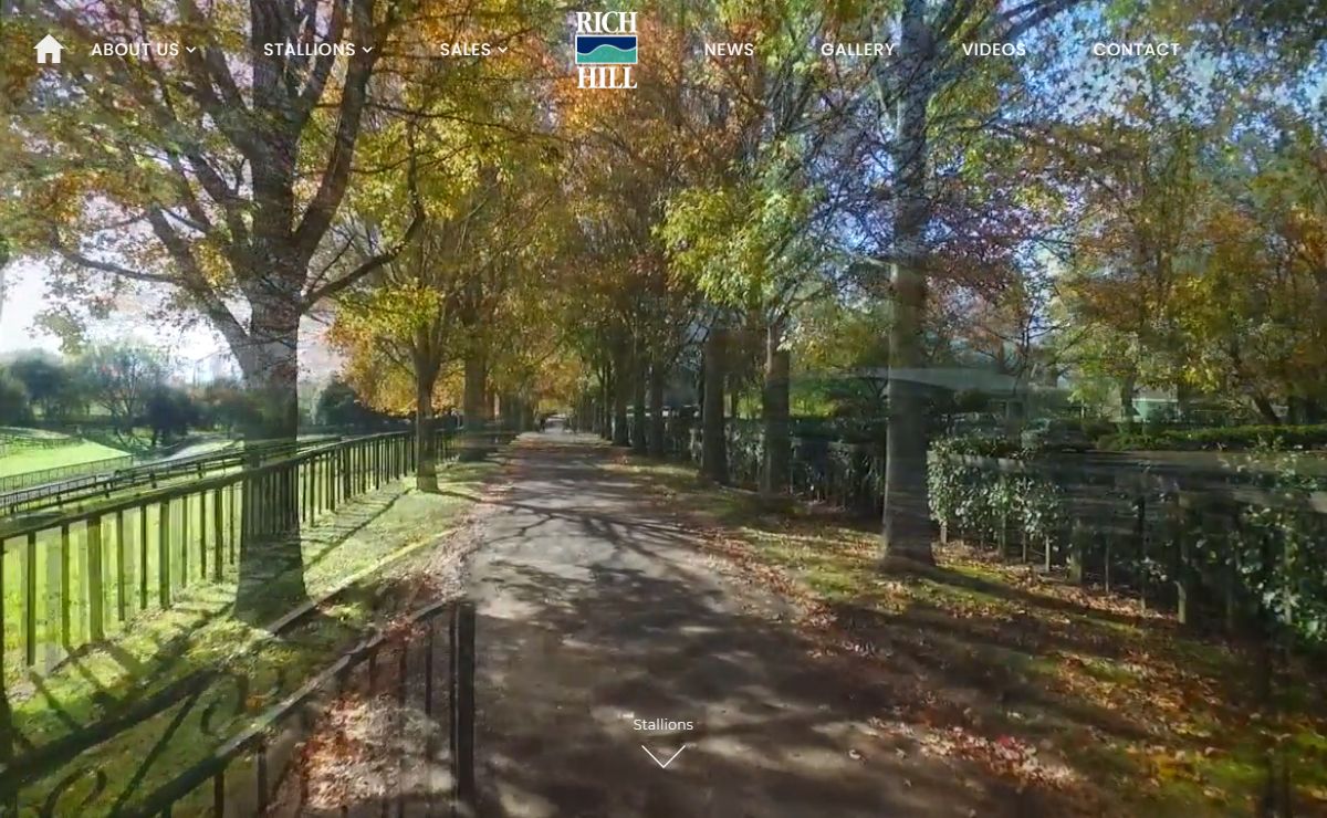 Home - Rich Hill Stud