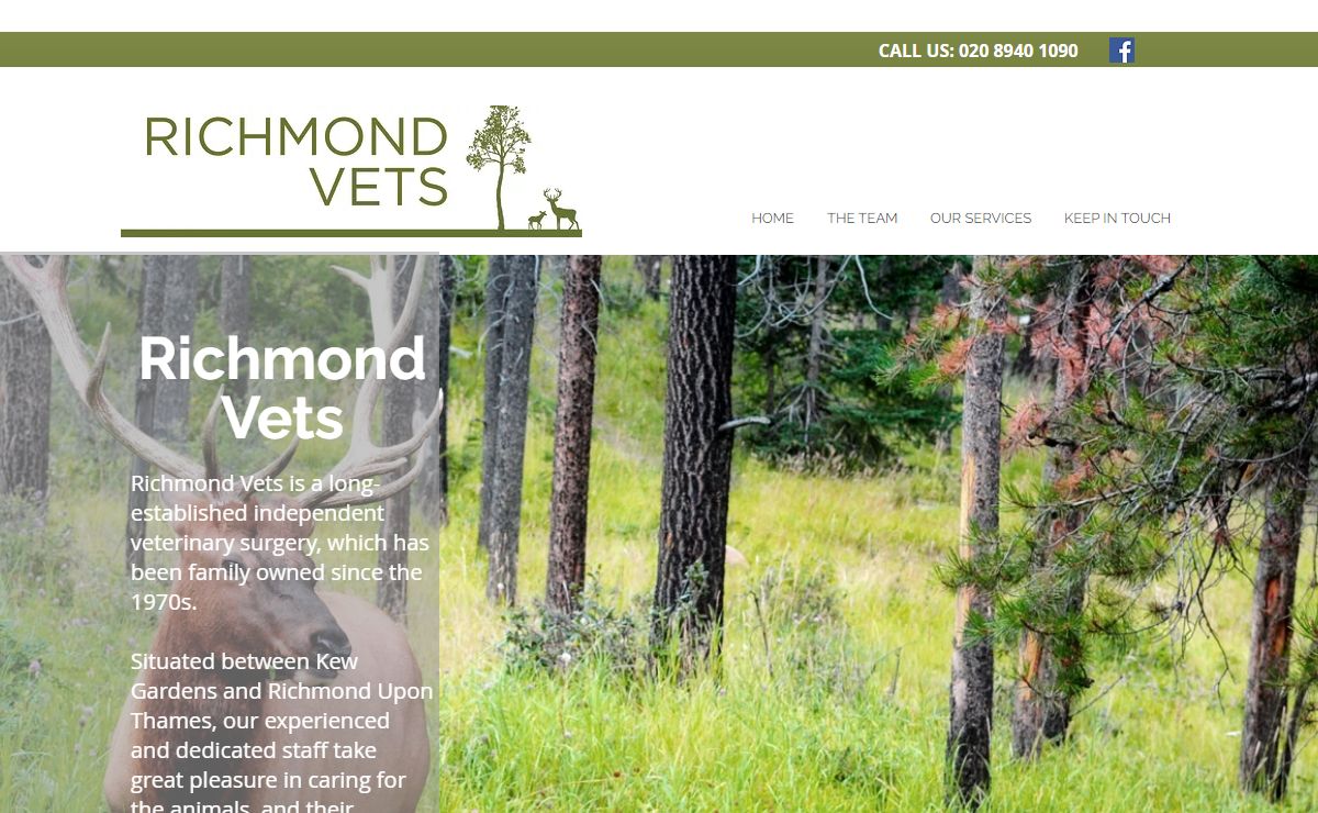 HOME | Richmond Vets