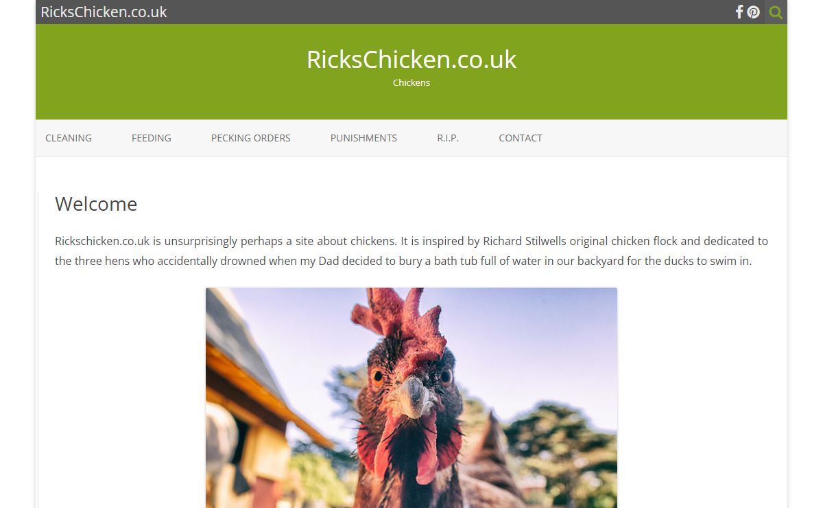 RicksChicken.co.uk – Chickens