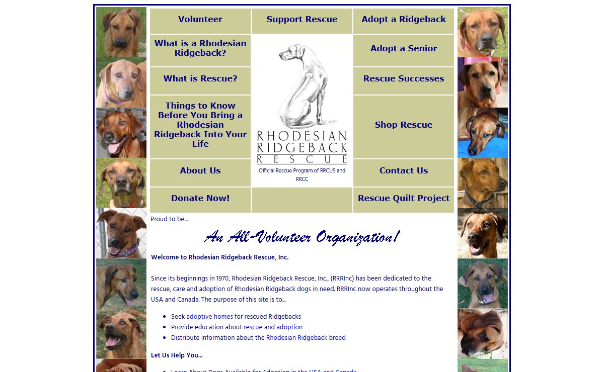 Home | Rhodesian Ridgeback Rescue, Inc. (USA and Canada)
