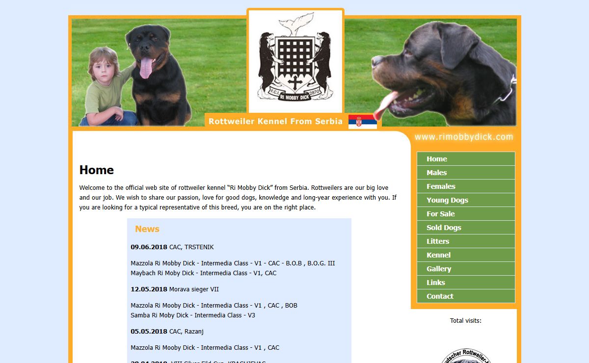 Ri Mobby Dick - Rottweiler Kennel From Serbia