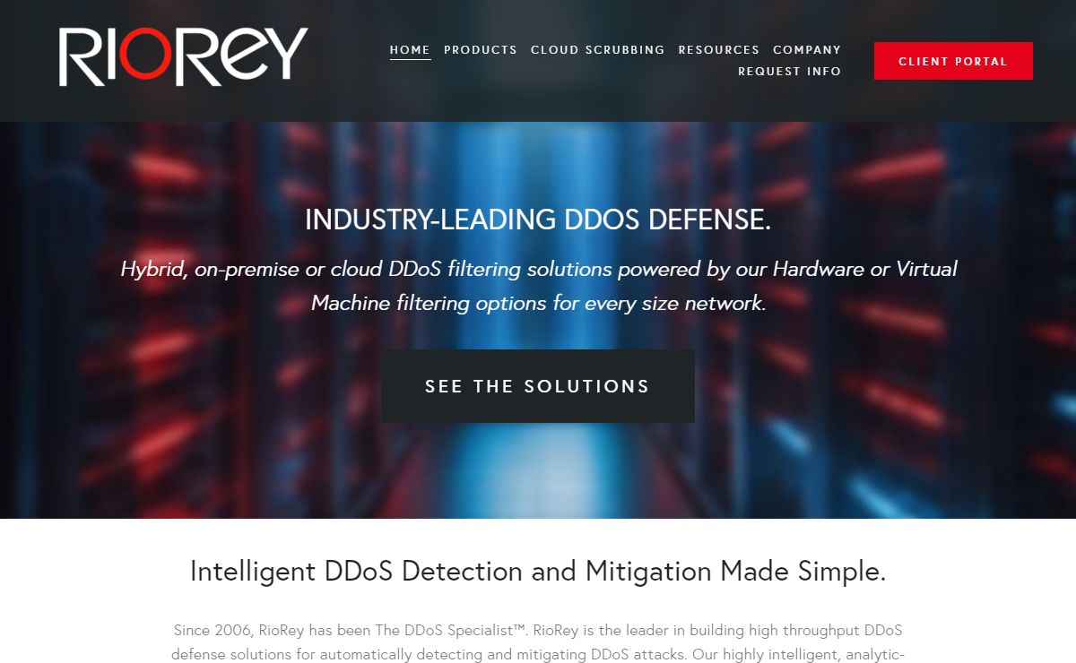 RioRey: The DDoS Specialist™