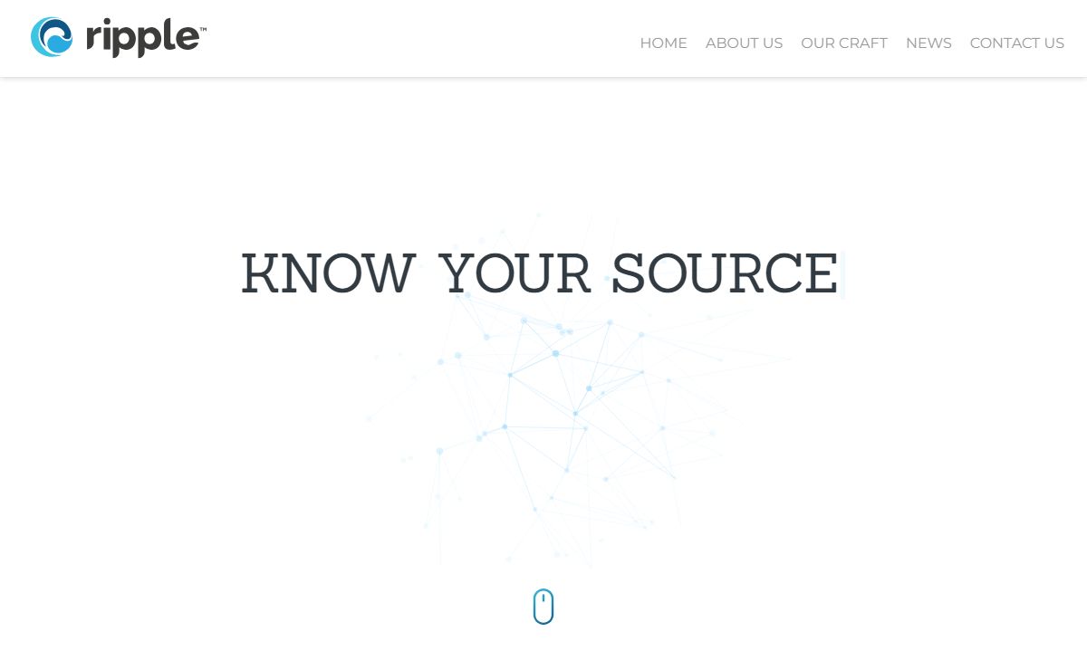Ripple Digital | Transforming your online digital marketing ideas into a successful reality.