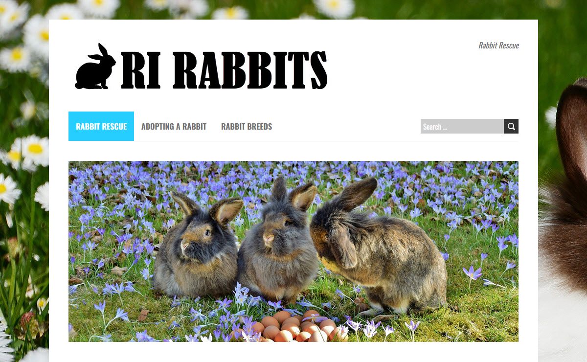 Rabbit Rescue - rirabbits.org