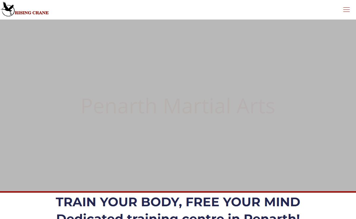 Kung Fu Tai Chi Penarth - Rising Crane