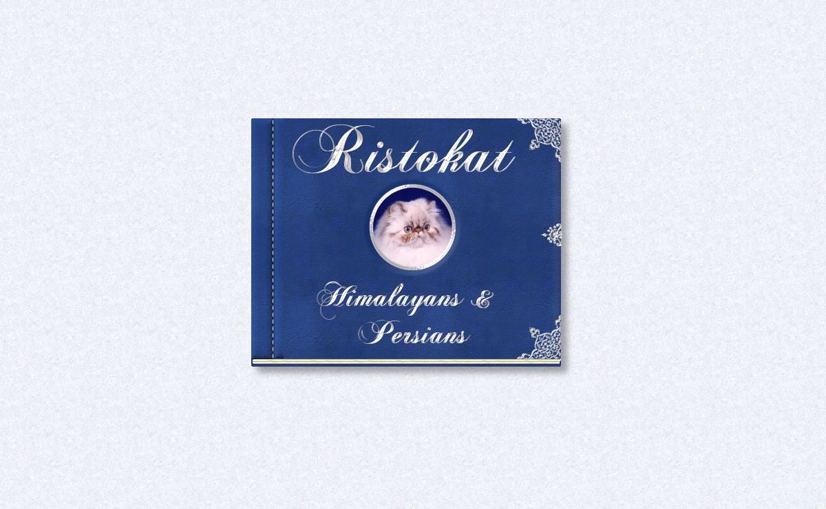 Ristokat Cattery