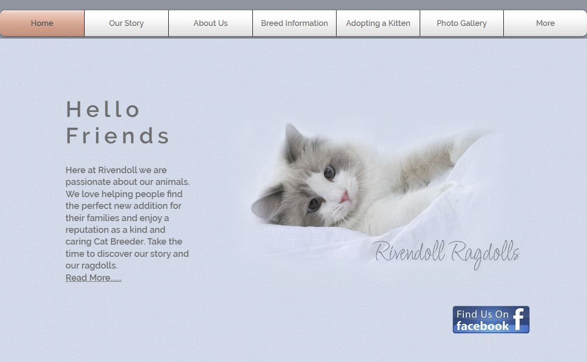 Home | Rivendoll Ragdolls Registered Breeder Mandurah