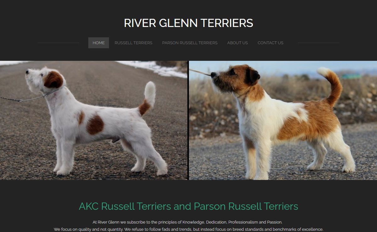 River Glenn Terriers - Home