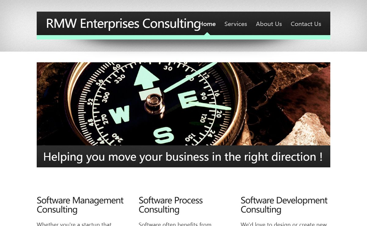 RMW Enterprises Consulting Main