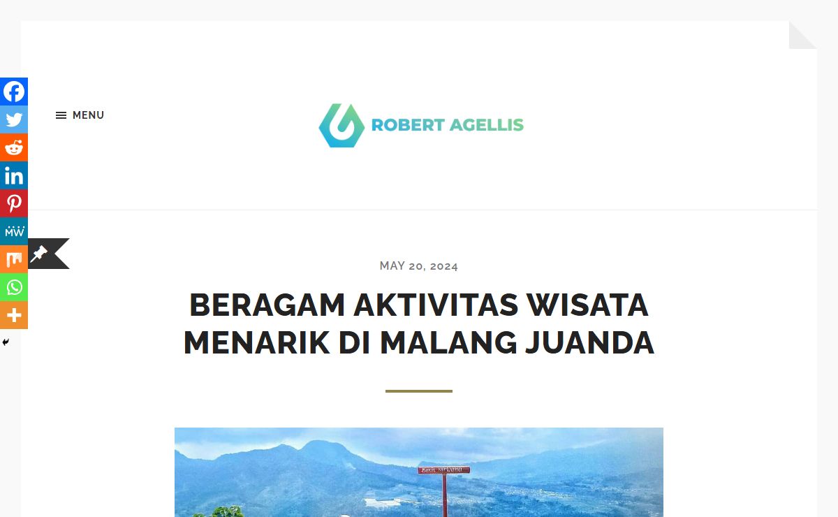 Robertagellis.com