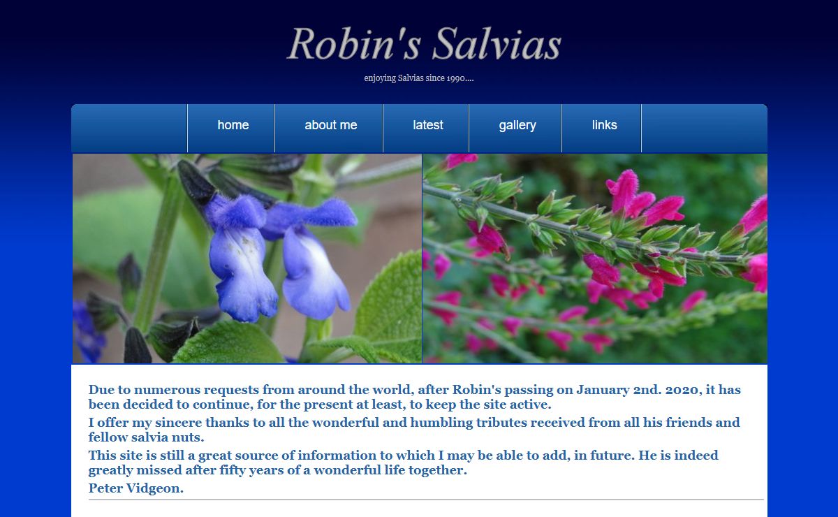 Robins Salvias