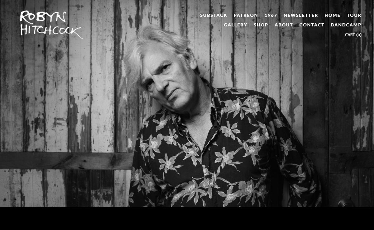 Robyn Hitchcock