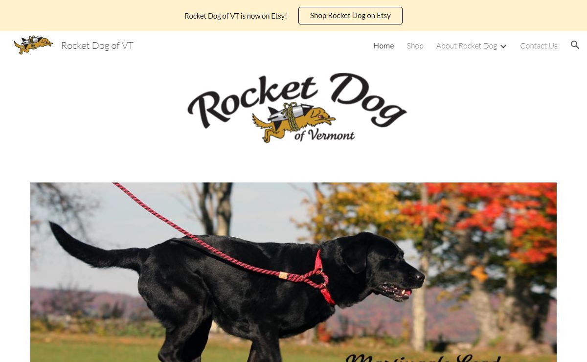 Rocket Dog of VT