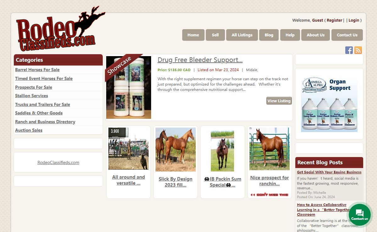 Barrel Horses For Sale, Rope Horses, Barrel Saddles and more - RodeoClassifieds.com