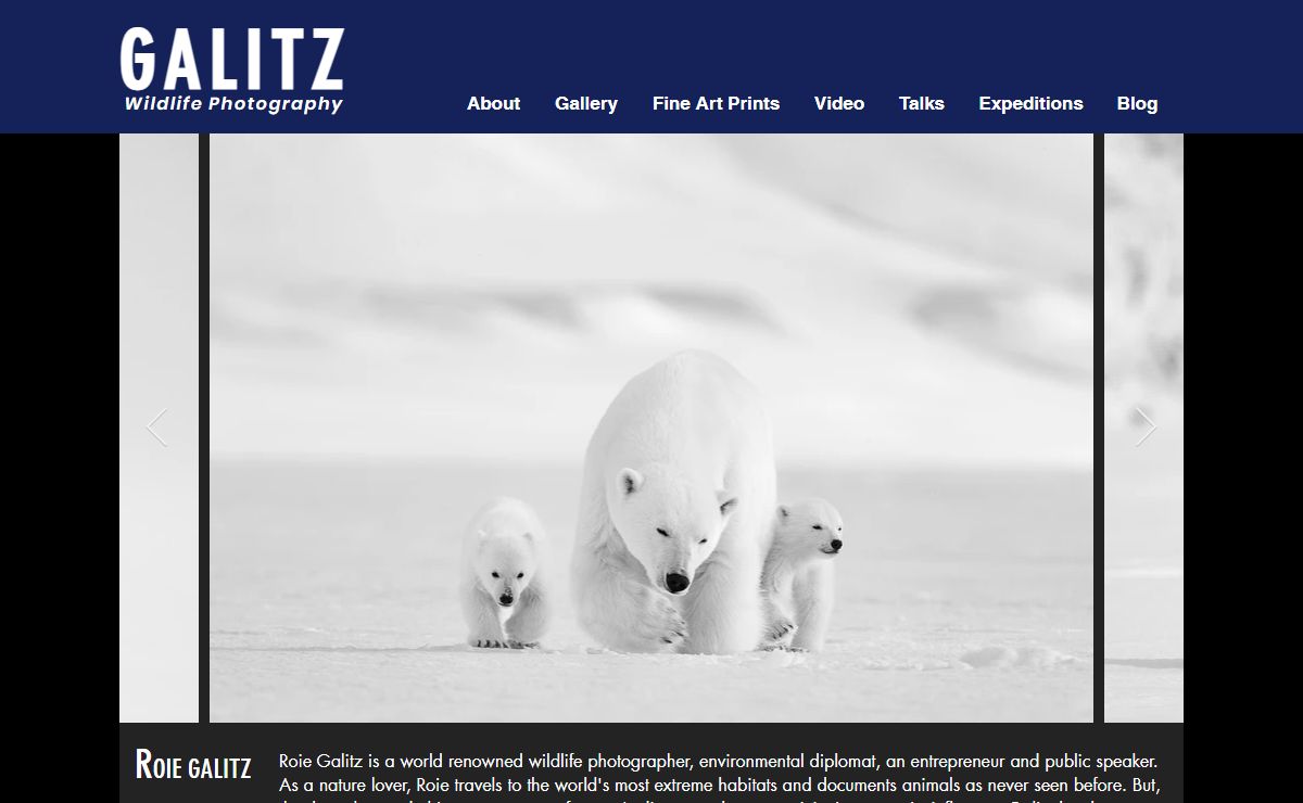 Roie Galitz | Wildlife Photographer, Speaker, Fine art
