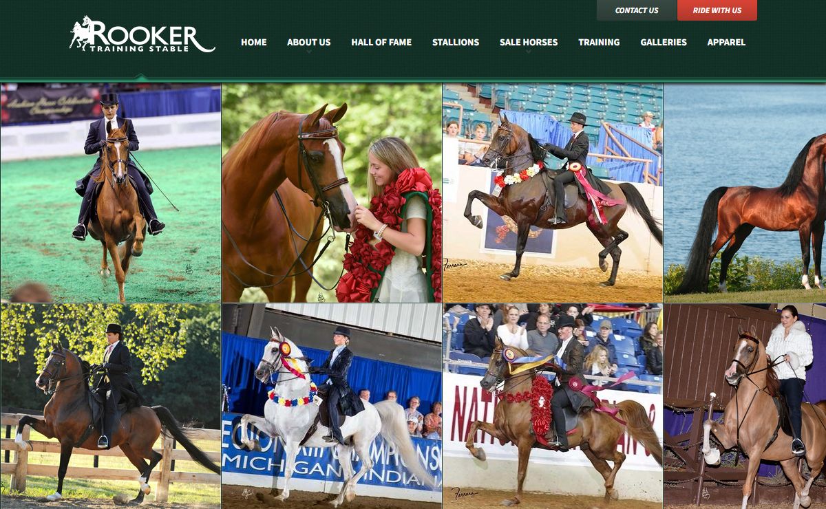 Welcome To Rooker Training Stable :: Rooker Training Stable