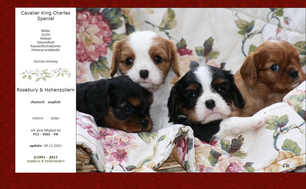 Cavalier King Charles Spaniel Zucht und Welpen von der Hohenzollernfeste