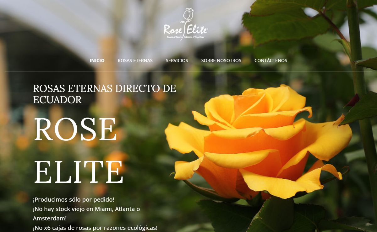 Inicio - Rose Elite Ecuador | Rosas Eternas del Ecuador.